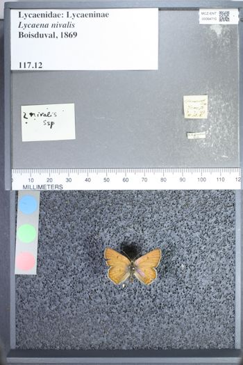 Media type: image;   Entomology 64710
